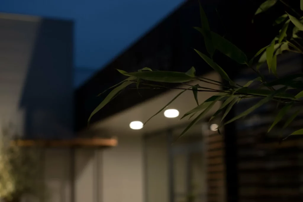 Branches de bambou vert devant l'entrée éclairée d'un bâtiment moderne de nuit.